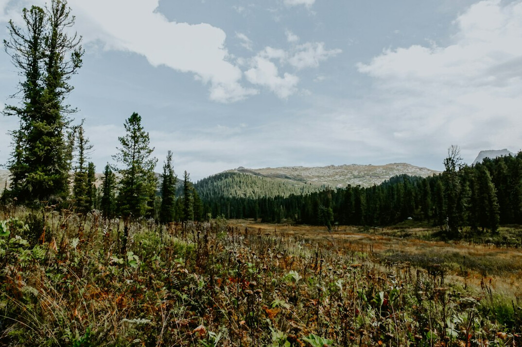 siberian forest explosion